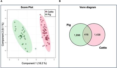 Proteomic analysis of granulomas from cattle and pigs naturally infected with Mycobacterium tuberculosis complex by MALDI imaging